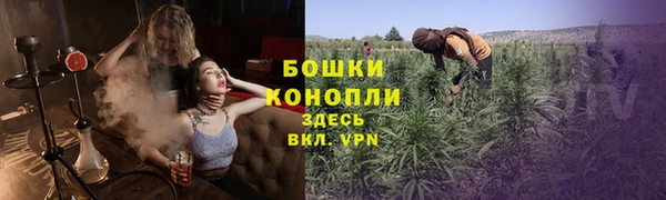 сатива Армянск